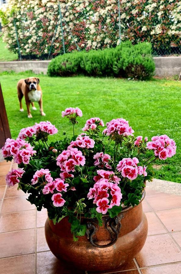 B&B Margot Albavilla Luaran gambar